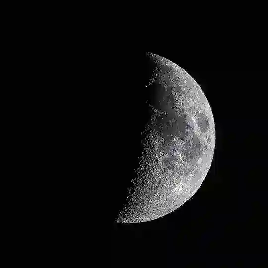 月の买卖群🌙