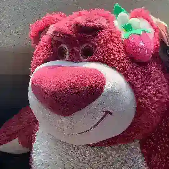 云南 快乐星球 🌍
