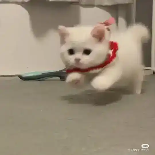 宜の 买卖群