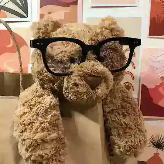 𝐘 𝐗 𝐈 𝐍 买卖群🪵