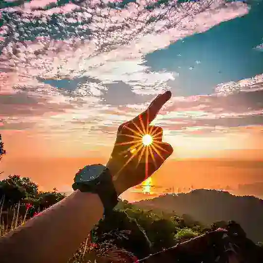 厦门 牡丹 交流群