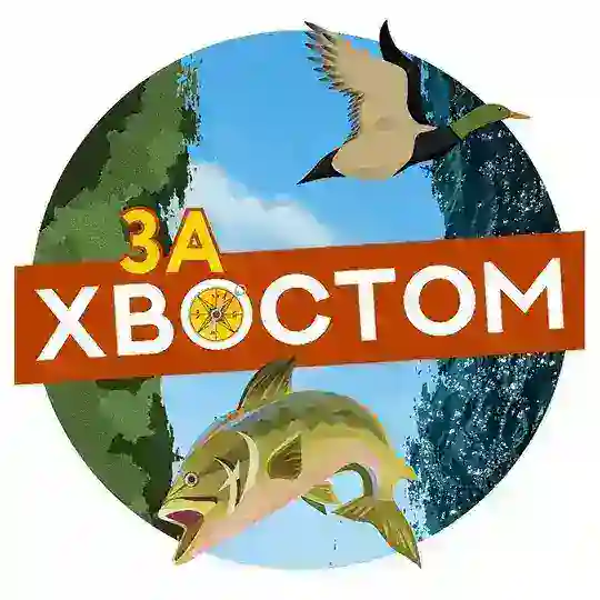 Чат За Хвостом