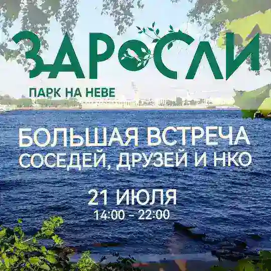 Заросли — Парк на Малой Неве