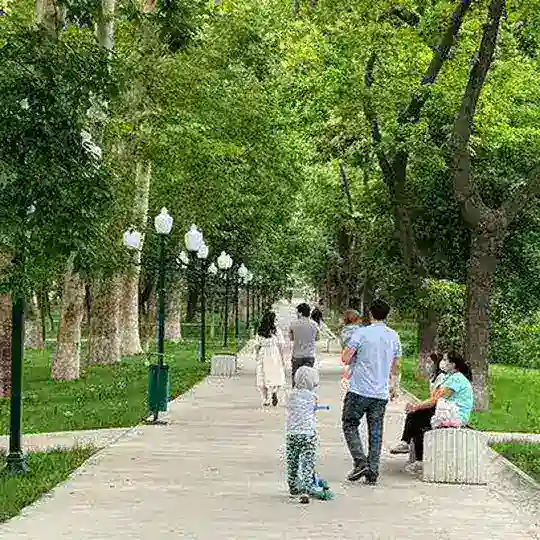 Защитим наш парк Анхор Локомотив