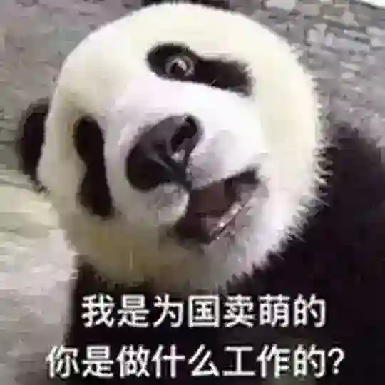 |̲̅S̲̅V̲̅I̲̅P̲̅|大姐姐