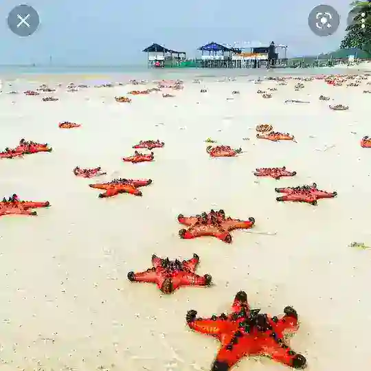 中华 天象