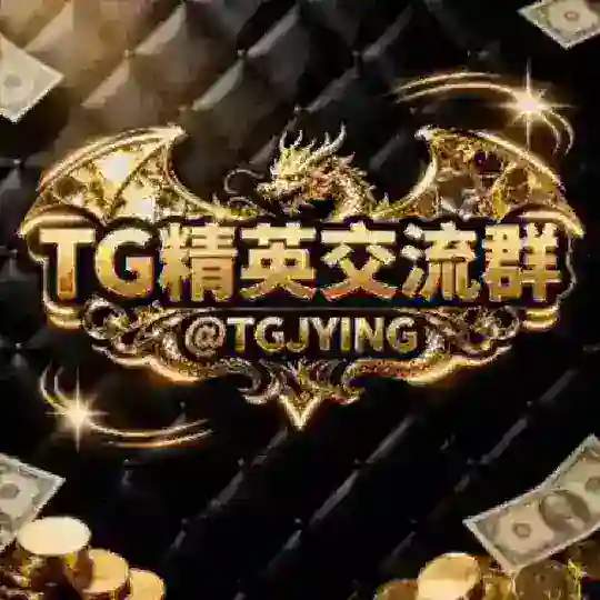 TG精英交流群
