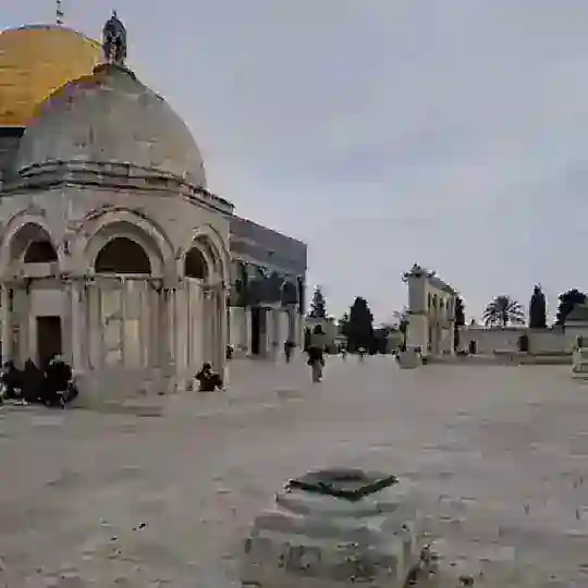 🗯️مُناﻗ̮ـ̃ﺷ͠ات سياسية ودينية وترفيهية وإنسانية Opened for Gaza 🇵🇸