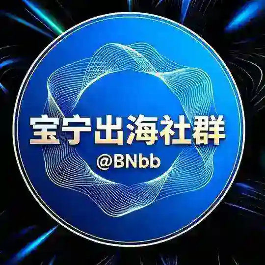 宝宁集团-出海海外数据资源群