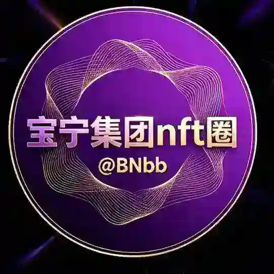 宝宁集团 NFT +888 id交易交流群