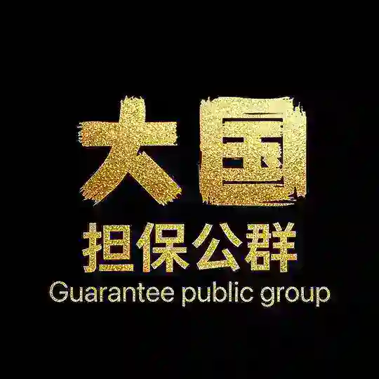 010-大国担保公群已上押10000u