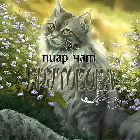 ꪦυ᜔ׂ𑜅թ ч͜͡𑜅ꭑ Кթყꭑ𑄈ִδ𑄈ִ𝕜𑜅