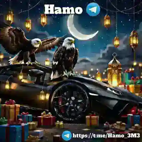⚜️ نت مجاني مصر | Chat ⚜️
