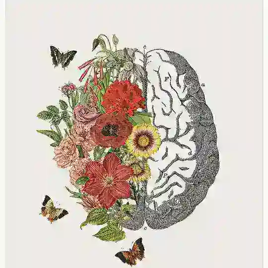شورای بین المللی روانشناسی (I.P.C) | International Psychology Council (IPC)