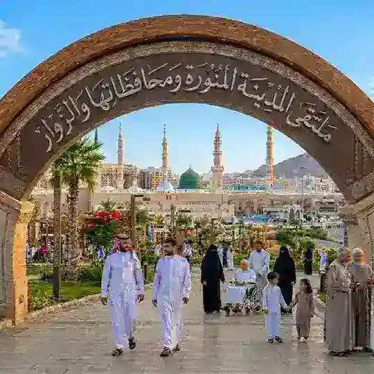 ملتقى المدينة المنورة ومحافظاتها Telegram Group Avatar