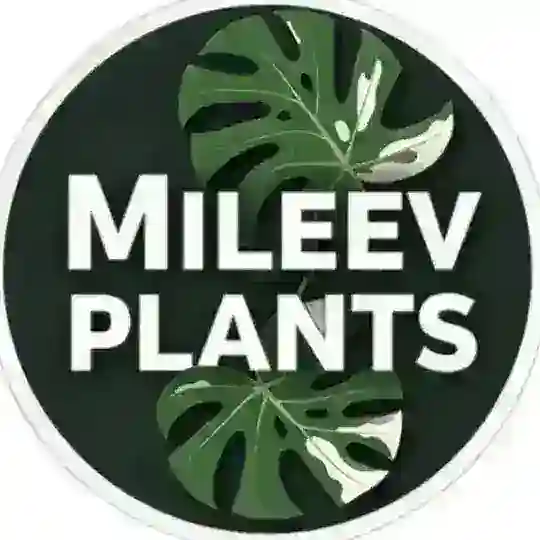 Mileev PLANTS 🍃