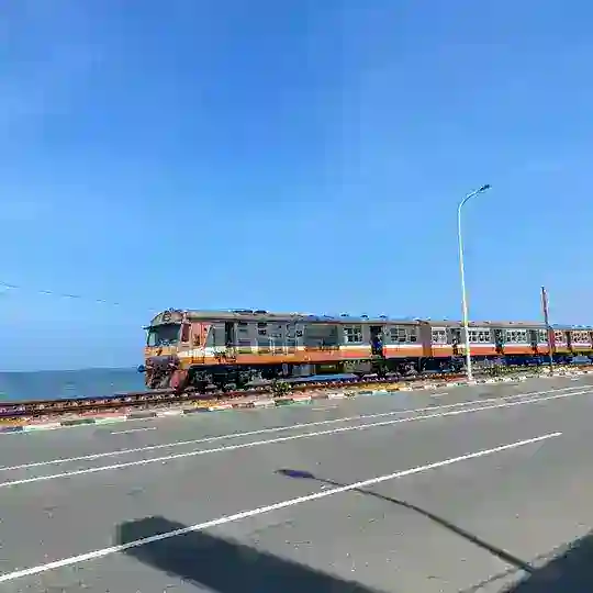 斯里兰卡华人交流群