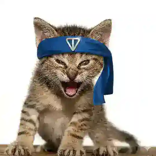 RoaringKitty_Ton