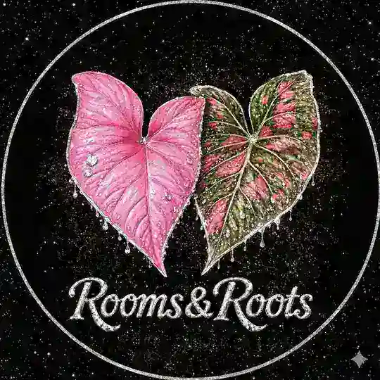 Rooms & Roots КОМНАТНЫЕ РАСТЕНИЯ