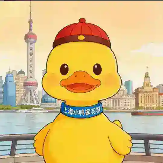 上海小鸭探花群（轮播）无广告版