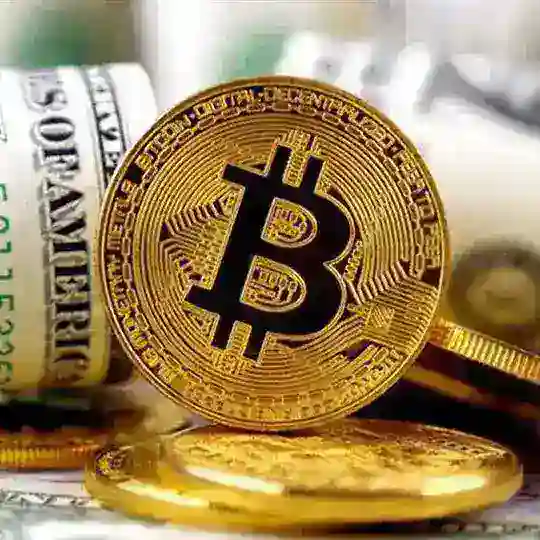 🔥Iگروه آموزش ایردراپI🔥پاسخ جدید Void ایرانیان بامز بحث همستر معتبر های تاینی ورس ارز دیجی چت مهم فرندز فکتوری گپ سایتی تلگرامی