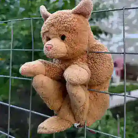 🪑чат разработки