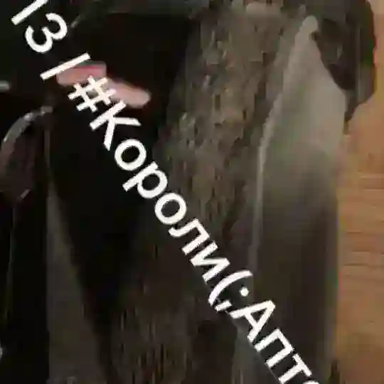 #короли 👑👑