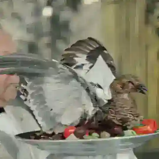 DICH Token Community