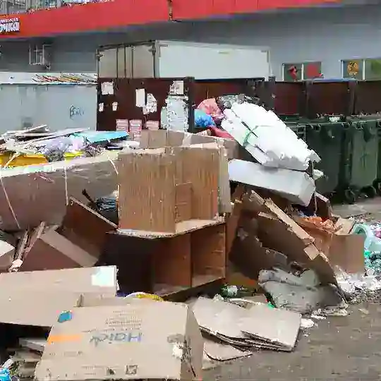 Чат Мусорного дозора