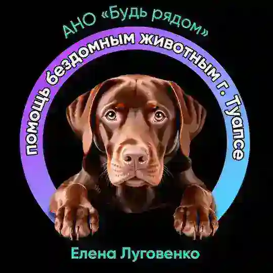 АНО "Будь рядом" Помощь животным Туапсе.