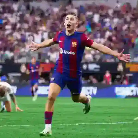 Чат Фермина