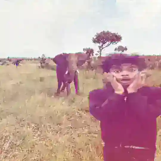 чат мадол дваа