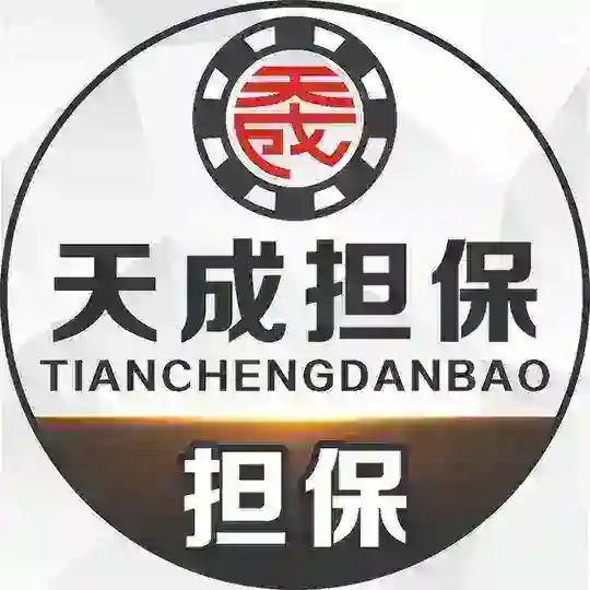 天成担保—支付资源群