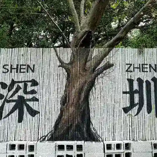 深圳修车社区备用群