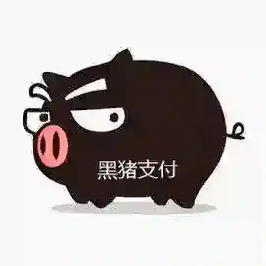 黑猪•三方四方支付交流群