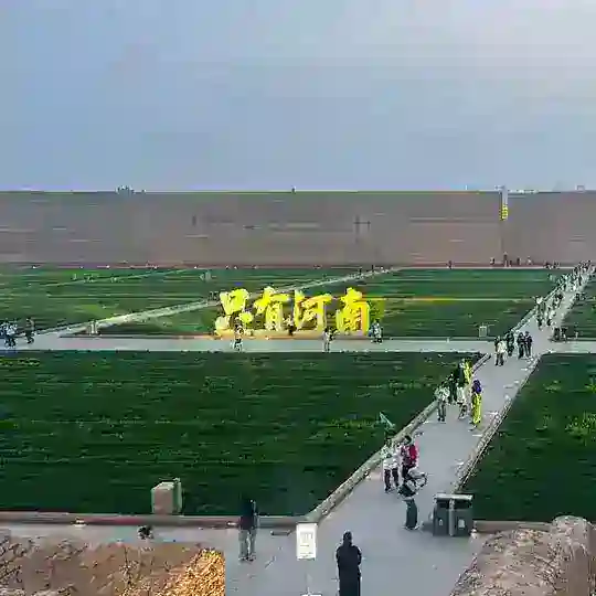 只有河南