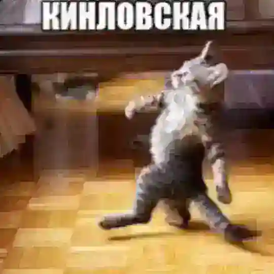 𝗣аны 𝗞инловской || #GSSDW