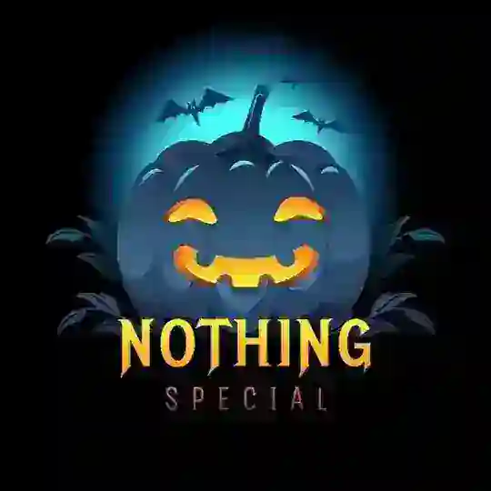 Nothing support
