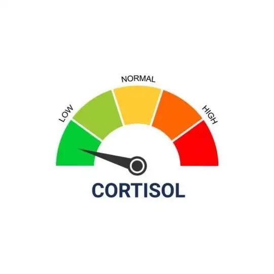 Low Cortisol Sunday