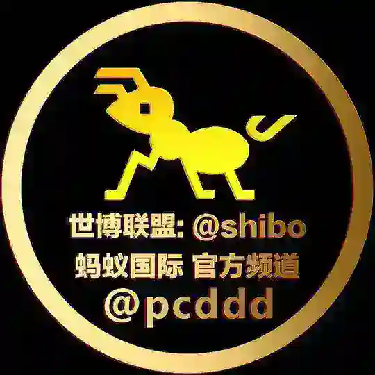 蚂蚁国际🇨🇦纯流水2.9（4.2-4.6）