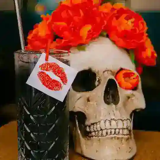 MeXo Бар в СПб 🌶