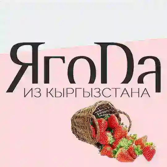 Мурманск | Ягоды из Кыргызстана