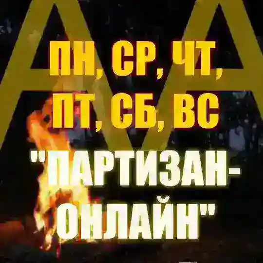 АА "Партизан Онлайн"