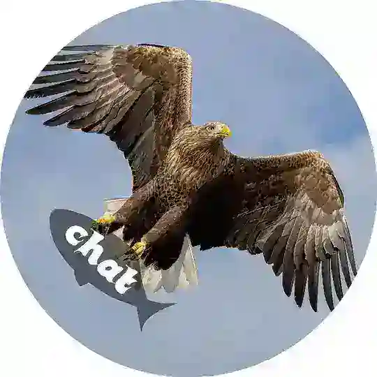 orlanbeloxvost chat