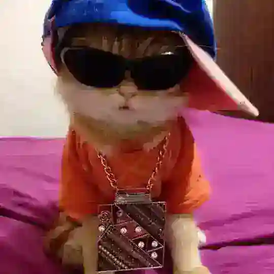 чяд билвегзи