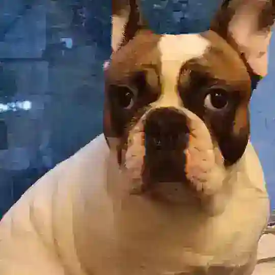 Джонни дома ❤️