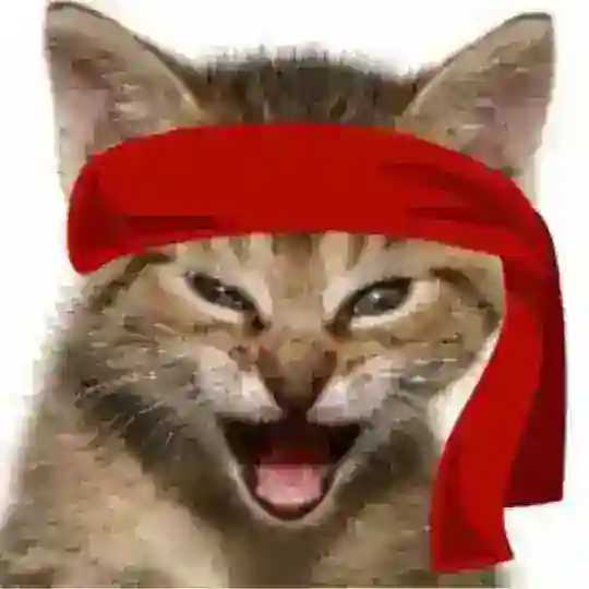 Red Kitten Crew