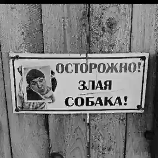 ЖИЖКИ))0)0)0)0 Telegram Group Avatar