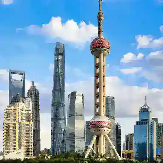 上海品茶嫩妹会
