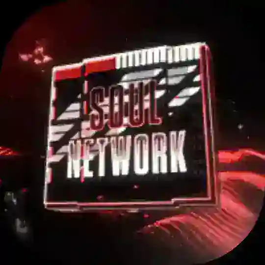 soul botnet